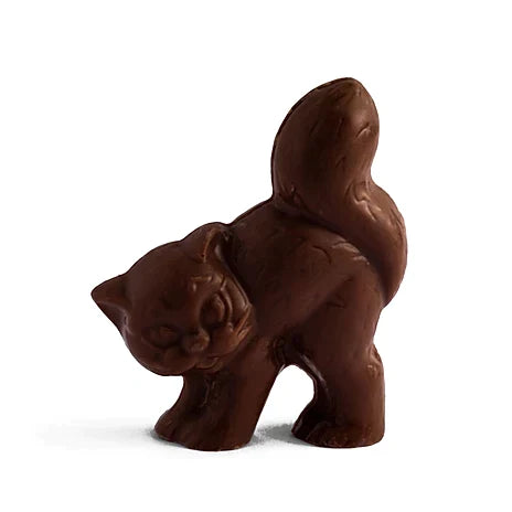 Cat Chocolate