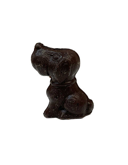 Dog Chocolate
